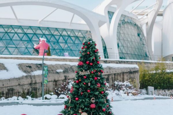 Winter Festival 2025 at Seoul Botanic Park