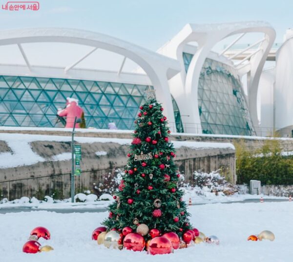 Winter Festival 2025 at Seoul Botanic Park