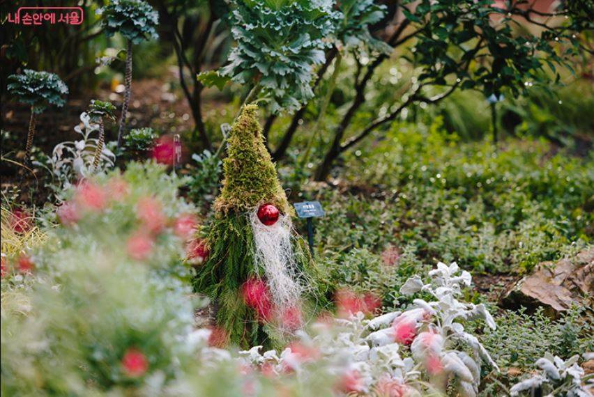 seoul botanic park