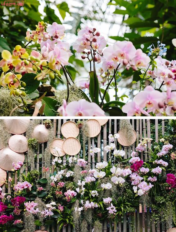 Seoul botanic park