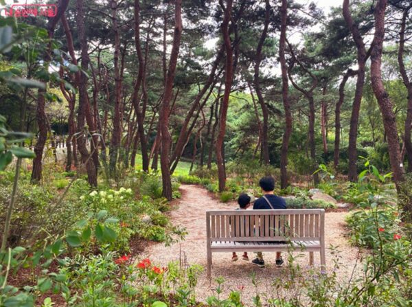 A Walk Through Namsan’s 10 Urban Breeze Gardens