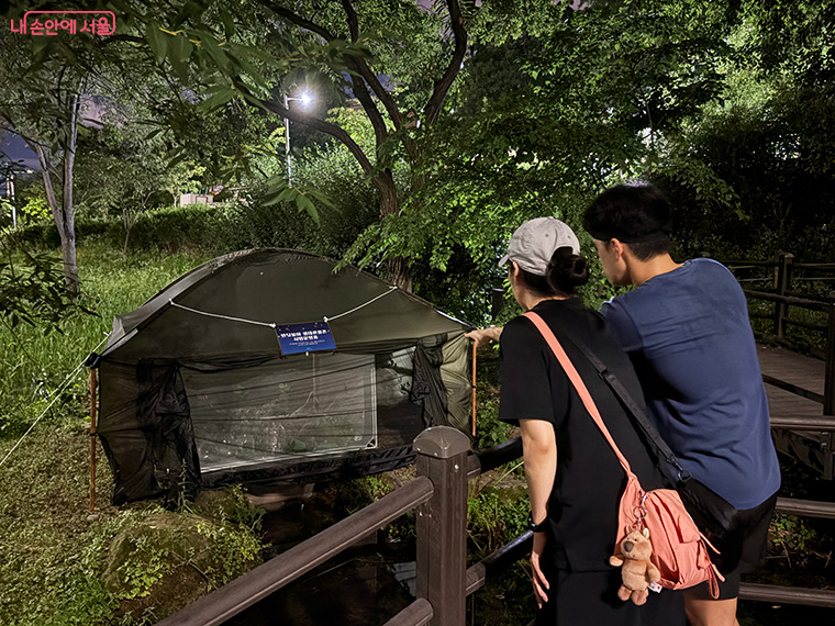 cheonggyecheon
