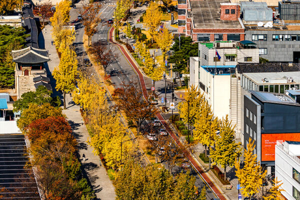 Seoul Autumn Foliage Walks: City’s 110 Scenic Routes in 2025