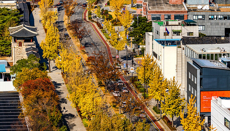 Seoul Autumn Foliage Walks