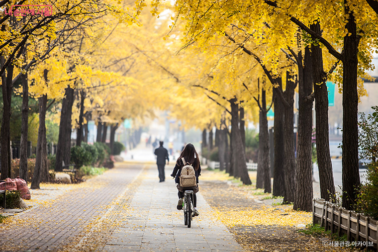 Seoul Autumn Foliage Walks