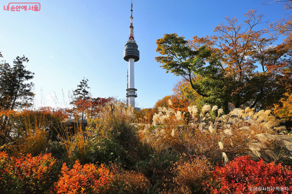 Seoul Fall Outing: 2025 Guide for Autumn Activities & Events