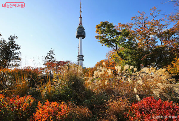 Seoul Fall Outing: 2025 Guide for Autumn Activities & Events