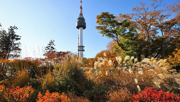 Seoul fall outing
