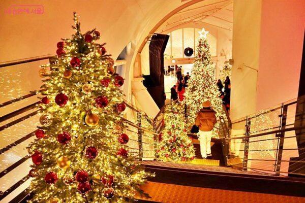 5 Things You Must Experience at Ttuksome Hangang Pleple