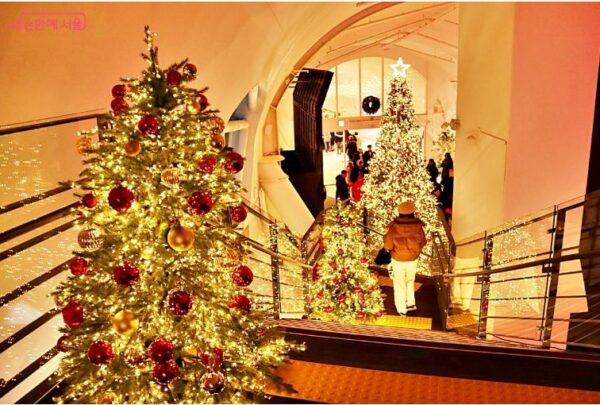 5 Things You Must Experience at Ttuksome Hangang Pleple